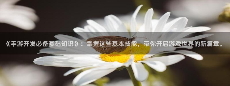 恒盛娱乐首页：《手游开发必备基础知识》：掌握这些基本技能，带