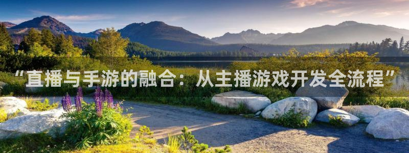 恒盛娱乐官网：“直播与手游的融合：从主播游戏开发全流程”