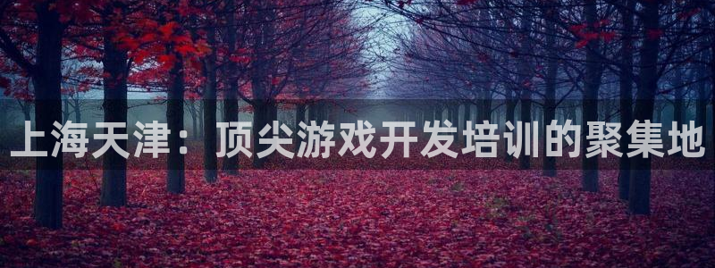 恒盛娱乐官网：上海天津：顶尖游戏开发培训的聚集地