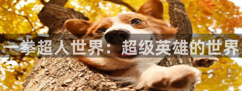 恒盛娱乐首页：一拳超人世界：超级英雄的世界