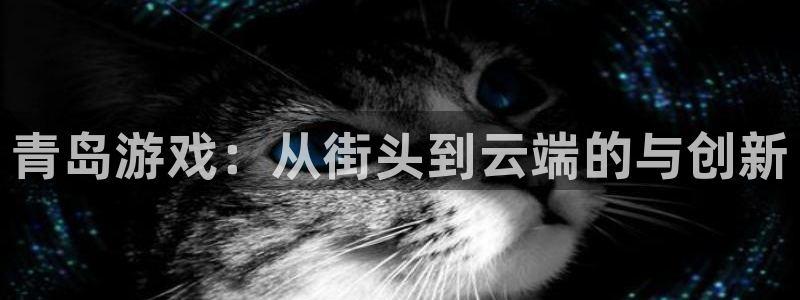 恒盛娱乐登陆：青岛游戏：从街头到云端的与创新