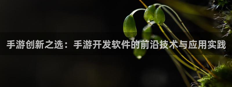 恒盛娱乐：手游创新之选：手游开发软件的前沿技术与应用实践