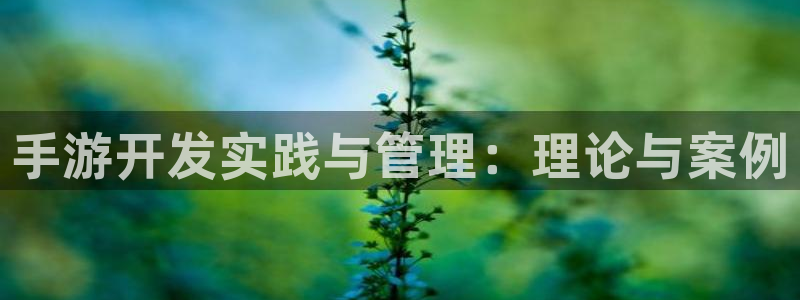 恒盛娱乐下载：手游开发实践与管理：理论与案例
