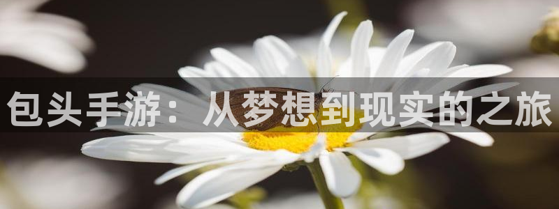 恒盛娱乐登录：包头手游：从梦想到现实的之旅