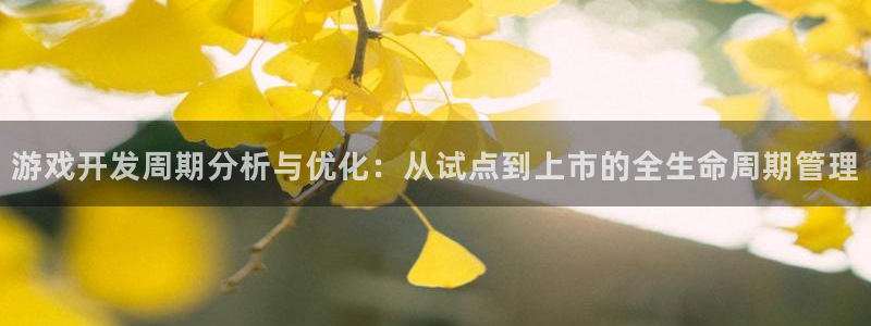 恒盛娱乐下载：游戏开发周期分析与优化：从试点到上市的全生命周