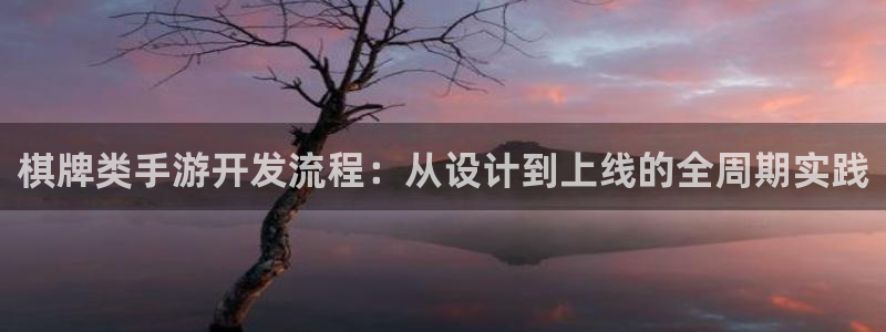 恒盛娱乐平台：棋牌类手游开发流程：从设计到上线的全周期实践