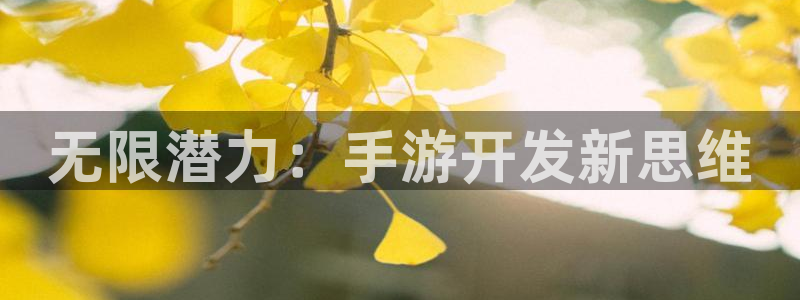 恒盛娱乐：无限潜力：手游开发新思维