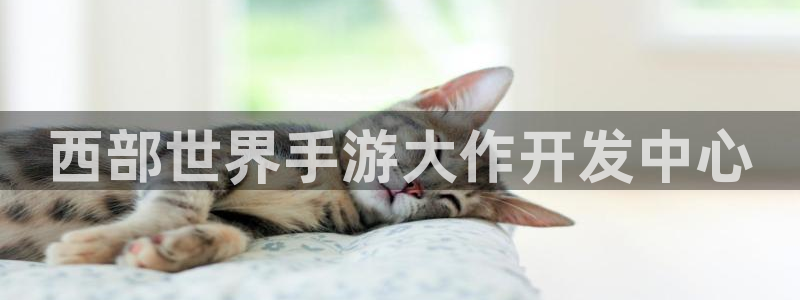 恒盛娱乐平台：西部世界手游大作开发中心