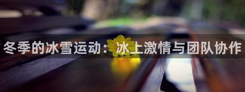 k1体育网址是多少