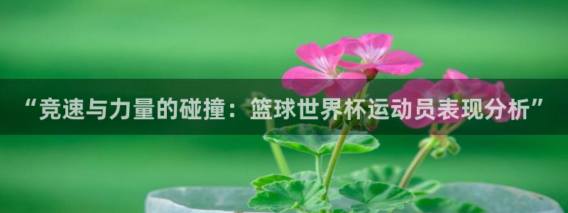 k1体育网址：“竞速与力量的碰撞：篮球世界杯运动员表现分析”
