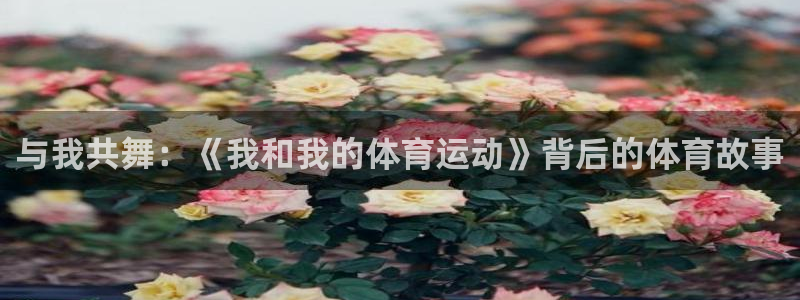 k1体育十年登录入口：与我共舞：《我和我的体育运动》背后的体育故事